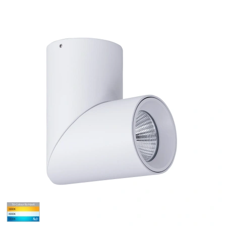 Surface downlight Nella Rotatable 12V 3CCT LED 12W WHT