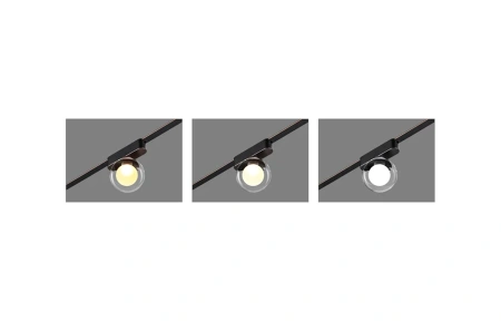 Track Clear Ball Z5090-6.36.CCT.BK 24V 6W WIFI
