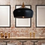 Pendant POLK 46 BLK Oak