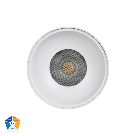 Surface downlight Nella 12V 12W 5CCT LED WHT