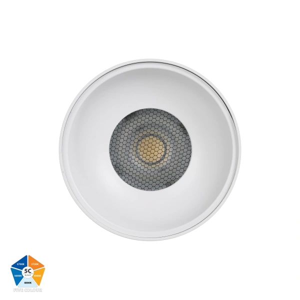 Surface downlight Nella Mounted 12V 5CCT LED WHT