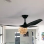 Ceiling Fan Delta 56 BLK