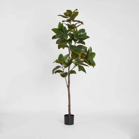 Magnolia Tree Real Touch 1.7M