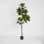 Magnolia Tree Real Touch 1.7M