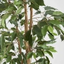 FicusTree 1.7m