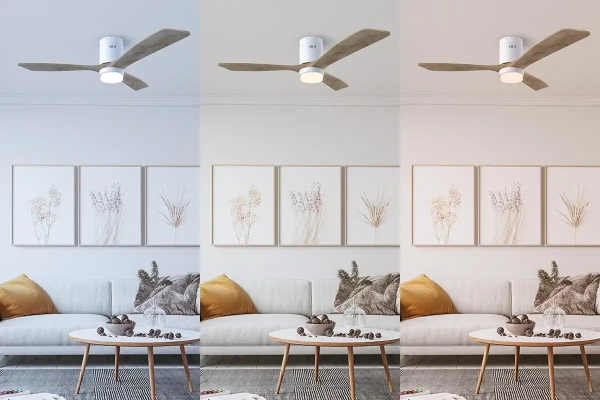 Ceiling fan Fiji DC LED Wi-Fi WD52