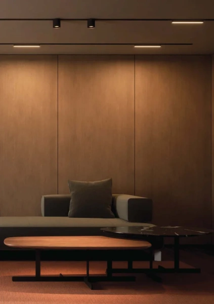 Surface Track Ultra-thin Z3000-48.SR.200.BK 2M 48V