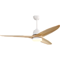 Ceiling fans 40