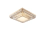 Ceiling lamp DELINDA D60 LED 50W GL