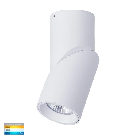 Surface downlight Nella Rotatable 12V 3CCT LED 12W WHT