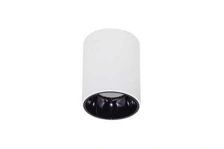 Surface downlight Cylinder ZTUBE-10.95.CCT.WHG LED 10W