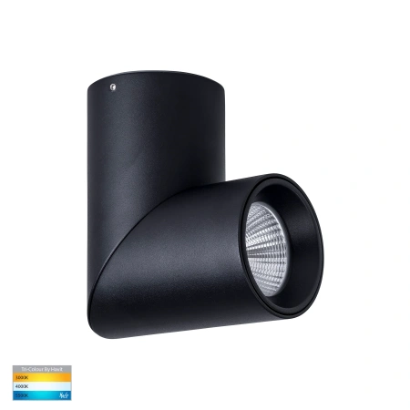 Surface downlight Nella Rotatable 12V 3CCT LED 12W BLK