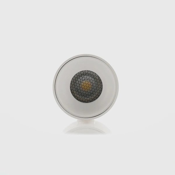 Surface downlight Nella 12V 7W 5CCT LED WHT