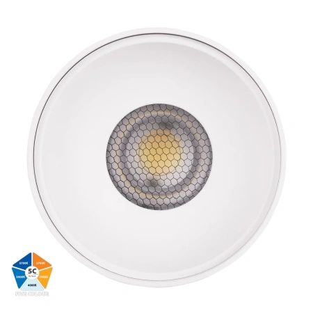 Surface downlight Nella WHT 5CCT LED 24W IP54