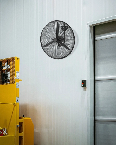 Wall fan Broome FF103330BK