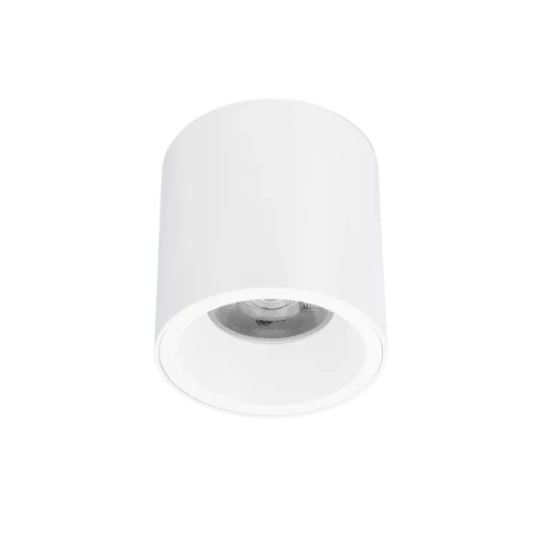Surface downlight Cylinder Z18842-12.60.30.WH LED 12W 3K Surface downlight Cylinder Z18842-12.60.30.WH LED 12W 3K