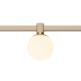 Track opal ball light Z4055-5.OP.30.BR 48V 5W 3K