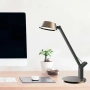 Table lamp Hilda LED 8W 3CCT USB GL