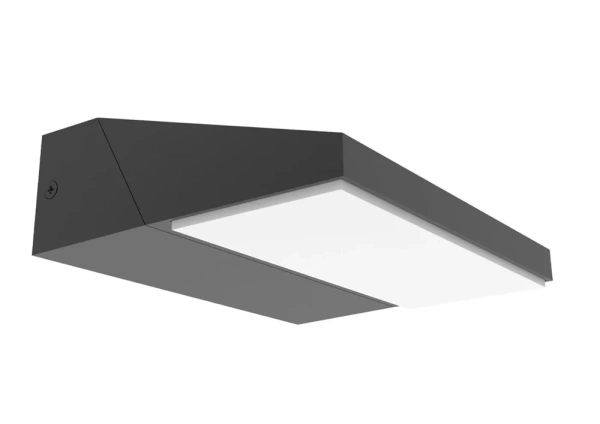 Wall light PLANA 01 LED Adjustable Wedge IP65