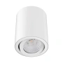 Downlight NEO-10-SM-TILT-WHT 21298 TRIO