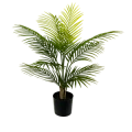 Plants, Trees & Pots Plants, Trees & Pots