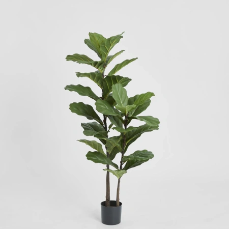 Fiddle Leaf Tree 1.13m