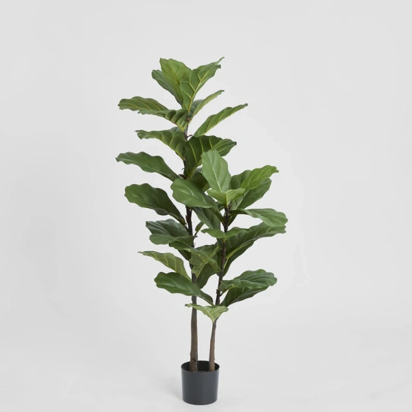 Fiddle Leaf Tree 1.13m