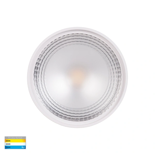 Surface downlight Nella Surface Mounted 12V 3CCT LED 12W WHT