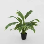 Hosta Plant real touch in Pot 42cm