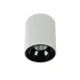 Surface downlight Gold Cylinder ZTUBE-10.95.CCT.WHB LED 10W