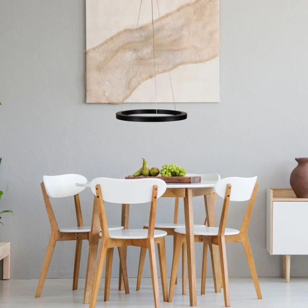 Pendant lamp NEBULA.60 CTS 60CM LED RING BLACK