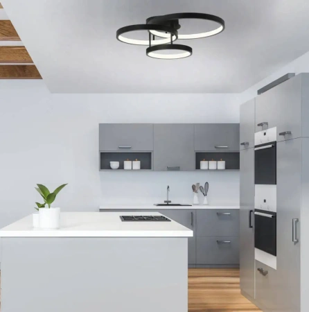 Ceiling light ZOLA 3LT CTC BLACK