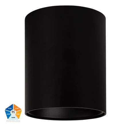 Surface downlight Nella BLK 5CCT LED 24W IP54
