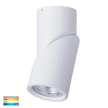 Surface downlight Nella Rotatable 3CCT LED 24W WHT 12V