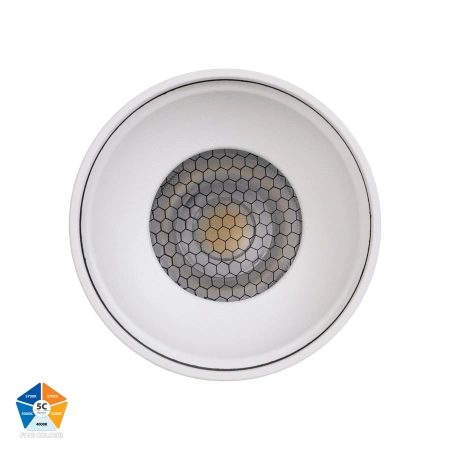 Surface downlight Nella 12V 18W 5CCT LED WHT