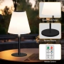 Table Lamp Solar LED 45CM