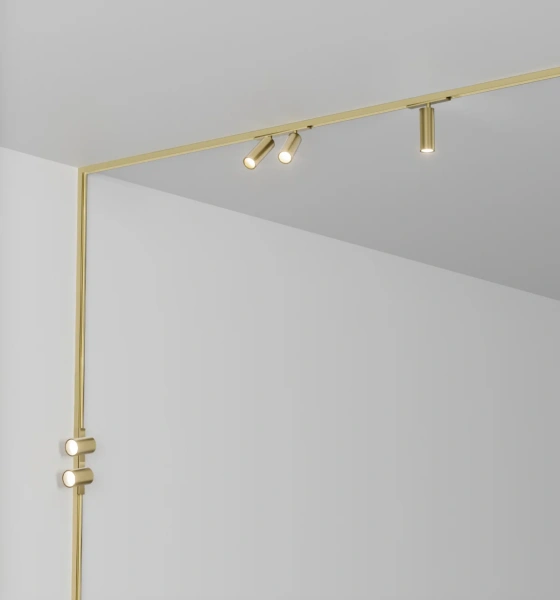 Track spotlight AXIS Double Brass 48V 16W CCT