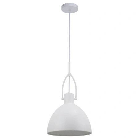 Pendant lamp Terrence 1Lt D300 E27 WH