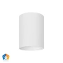 Surface downlight Nella 12V 12W 5CCT LED WHT