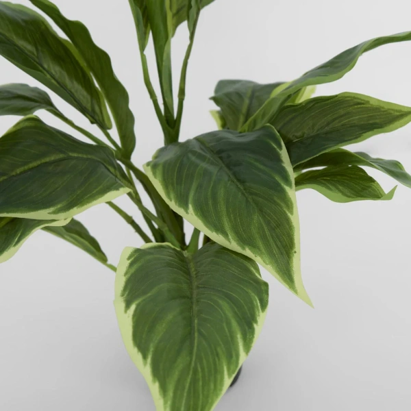 Hosta Plant real touch in Pot 42cm