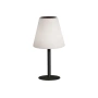 Table Lamp Solar LED 45CM