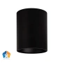 Surface downlight Nella BLK 5CCT LED 18W IP54