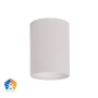 Surface downlight Nella WHT 5CCT LED 12W IP54