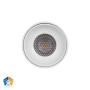 Surface downlight Nella 12V 7W 5CCT LED WHT