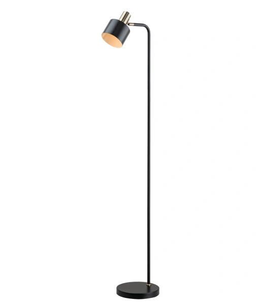 Floor lamp FLOTAR-F1 E27 BLK
