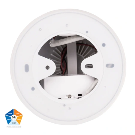 Surface downlight Nella WHT 5CCT LED 24W IP54