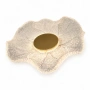Wall light Lotus 3W LED 3CCT GL